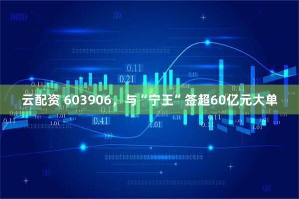 云配资 603906，与“宁王”签超60亿元大单