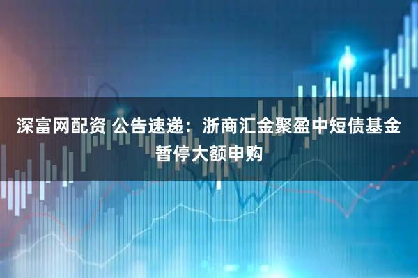 深富网配资 公告速递：浙商汇金聚盈中短债基金暂停大额申购