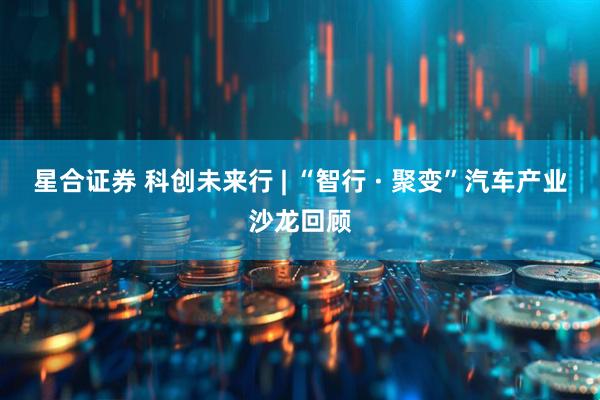 星合证券 科创未来行 | “智行 · 聚变”汽车产业沙龙回顾