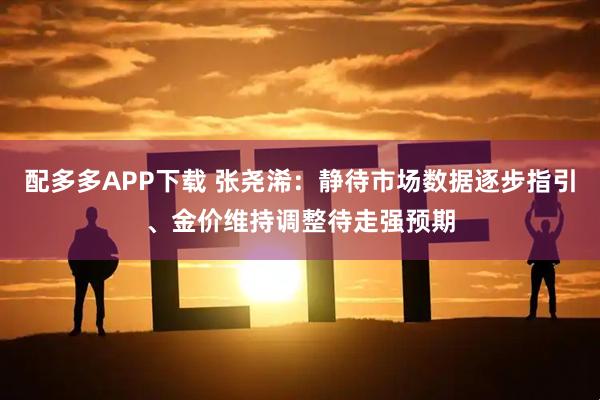 配多多APP下载 张尧浠：静待市场数据逐步指引、金价维持调整待走强预期