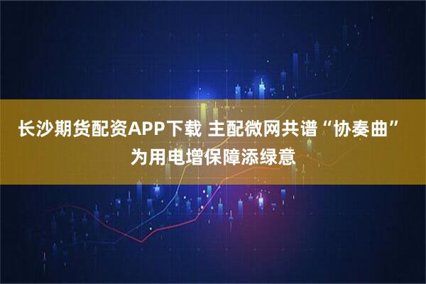 长沙期货配资APP下载 主配微网共谱“协奏曲” 为用电增保障添绿意