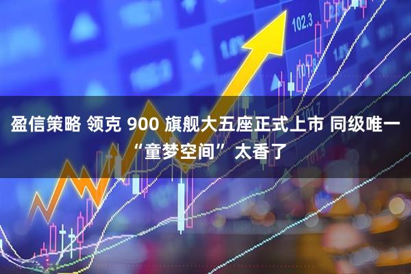 盈信策略 领克 900 旗舰大五座正式上市 同级唯一 “童梦空间” 太香了